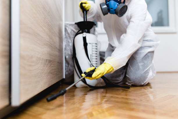 Best Pest Inspection Near Me  in Ome, GA