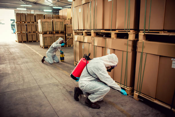 Best Pest Prevention Services  in Ome, GA