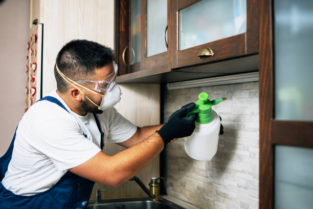 Best Rat Extermination Near Me  in Ome, GA