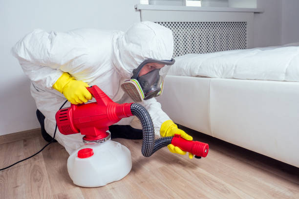 Best Emergency Pest Control  in Ome, GA